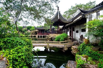 Net Master Garden (2).jpg