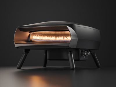 Witt ETNA Rotante Pizza Oven                                                       