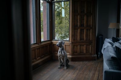 FRANMART_DunAluinn011.jpg