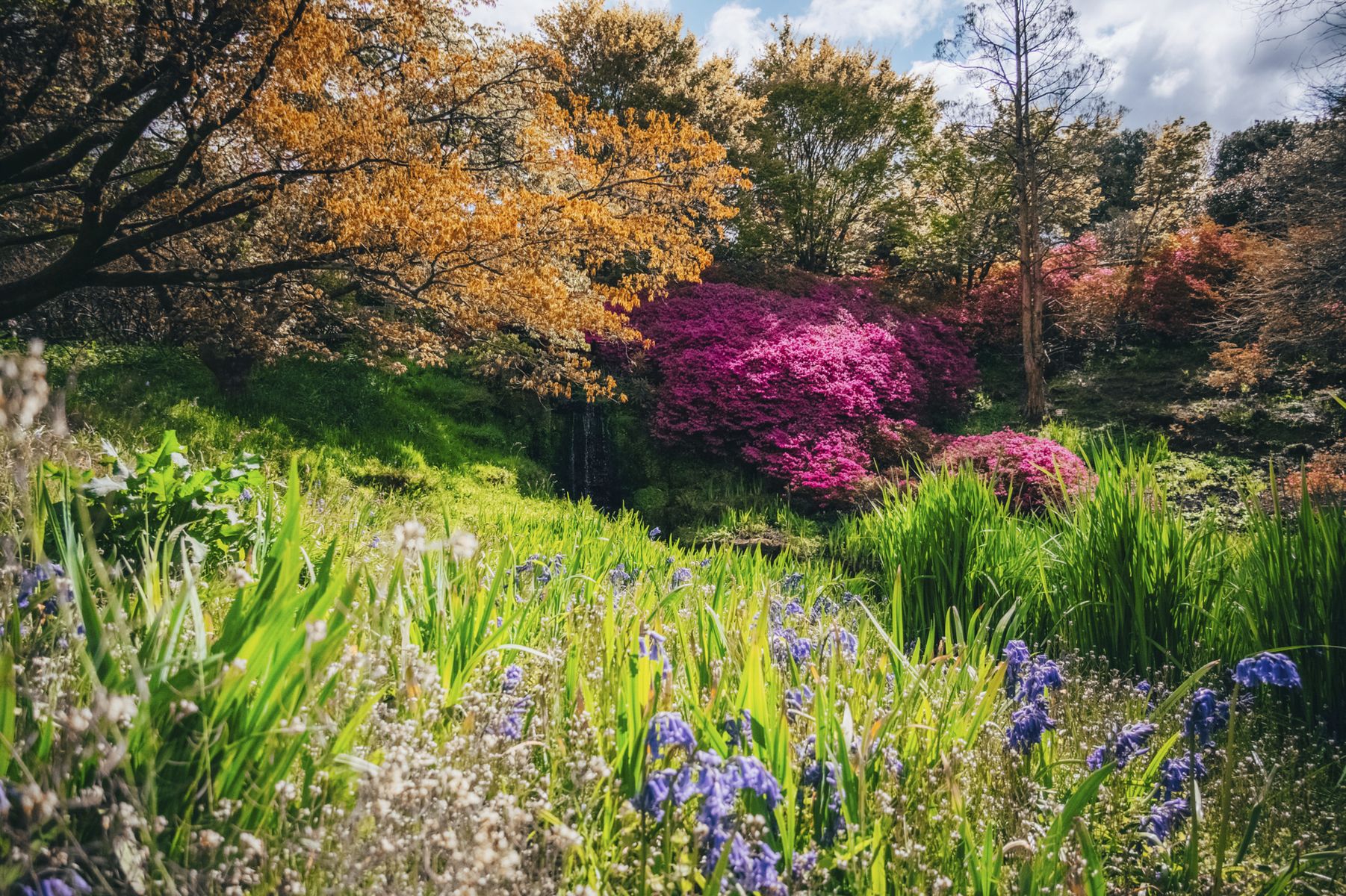 Wakehurst in West Sussex