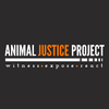 AJP Logo.png
