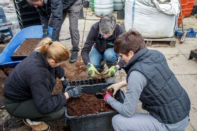Ecotone employees take Green Leave to plant 1,000 trees at Shinfield St. Mary’s School in Reading with The Tree Council, photo credit - Simon Murrell photography (5).jpg