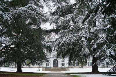 Kew Gardens in winter.jpg