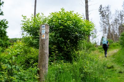 Lee-Trail-Day-1-JDJ49-©Jochem-de-Jong.jpg