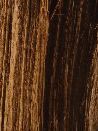 YERA-Details-1©Charlotte Lapalus-FORESTIS (23).jpg