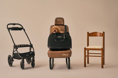 Hendrick Pet Car Seat & Carrier