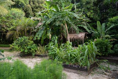 Island Garden.jpg