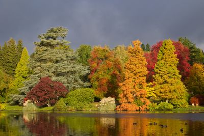 Sheffield Park