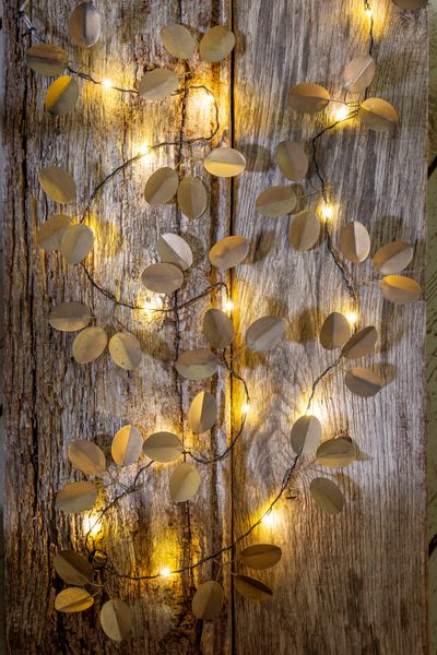 Golden eucalyptus light string.jpg