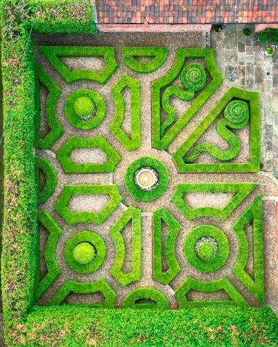 Paul Everden - First Place in UK Home Gardener Category