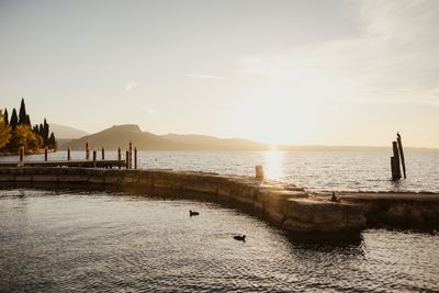 Fall_AlexMoling_CapeOfSenses-201.jpg