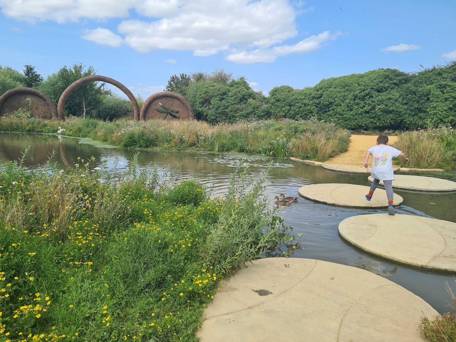 WWT Slimbridge.jpg