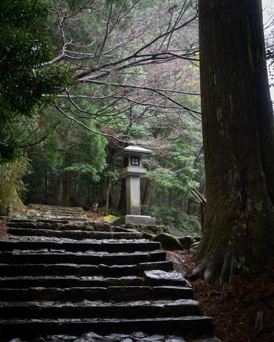 Kumano Kodo