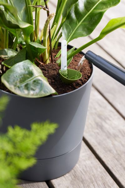 greensense aqua care