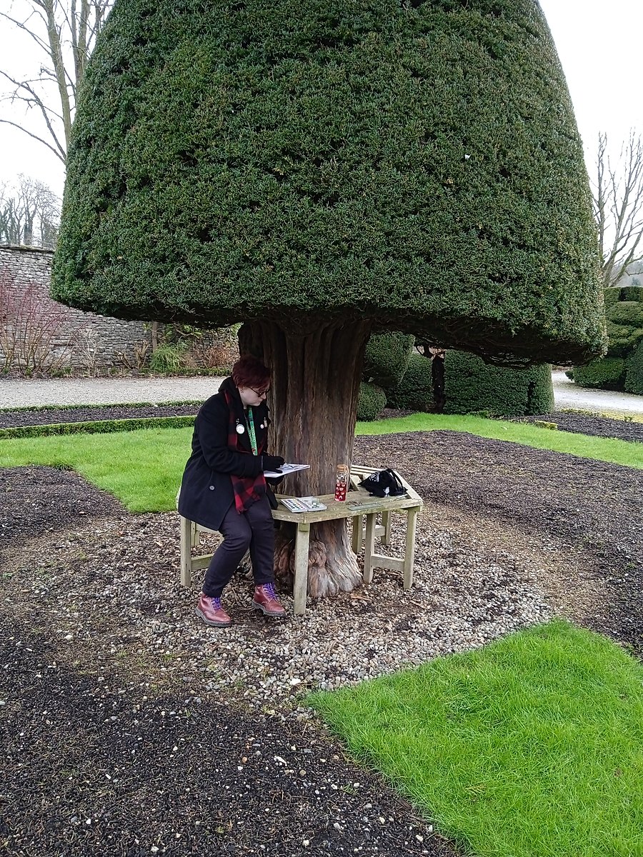 Hex Gregson sketching under one of the topiary umbrella trees in the Levens Hall and Gardens topiary garden