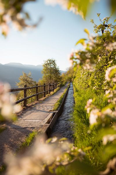 Spring (4).jpg