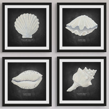 Suggested Header 2000px Hand-painted Shell Collection (1).jpg