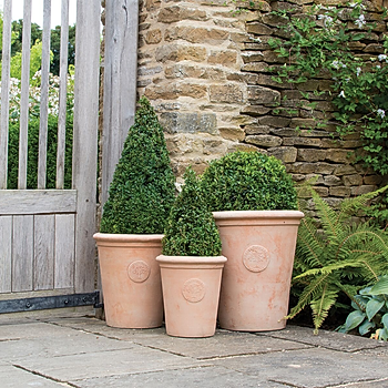 Tudor Terracotta pots.jpg