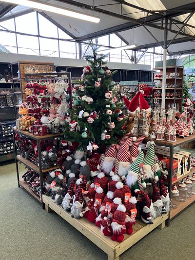 Hillier Garden Centres and Nurseries - Christmas 2024