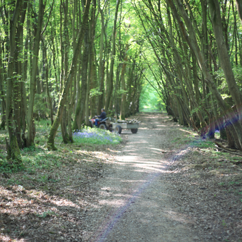 Woodlands.co.uk                                                                                                      