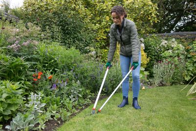 Long Handled Lawn Shears