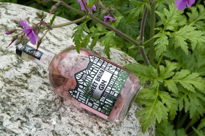 Nantwich Sweet Briar Gin