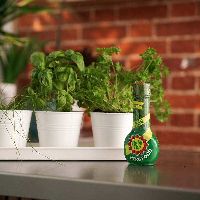 Baby Bio® Herb Food