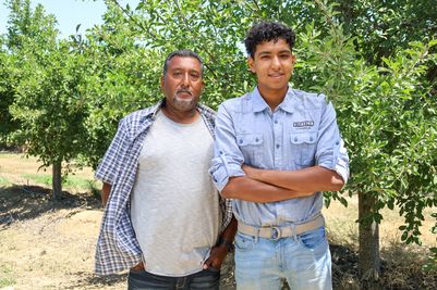 From orchard to consumer: the provenance behind California Prunes’ global appeal
