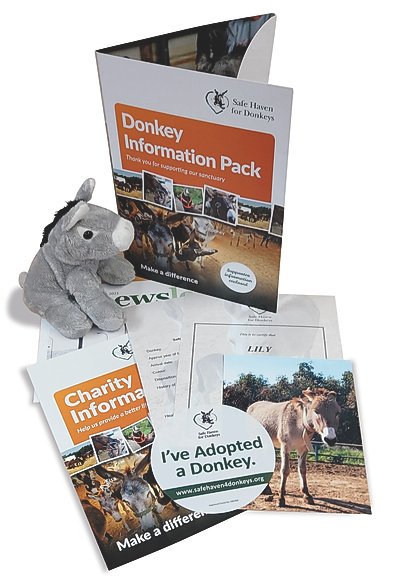 high res donkey gift .jpeg