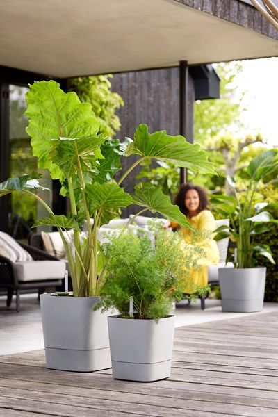 greensense aqua care