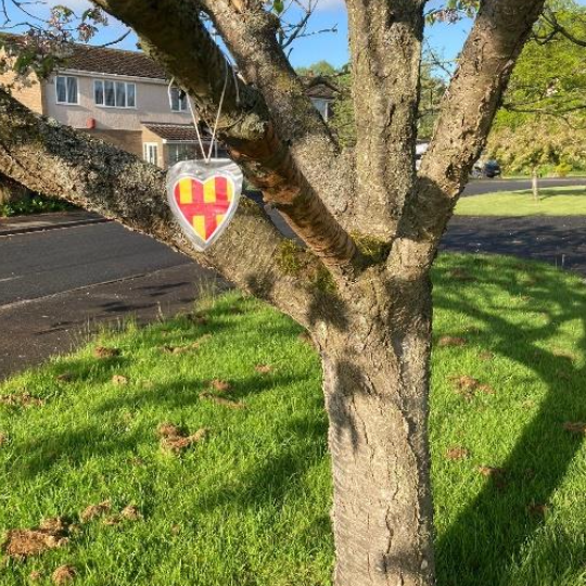 A fact-hunt emblem hidden in a tree by Stannington First School teachers for Northumberland Day 2023
