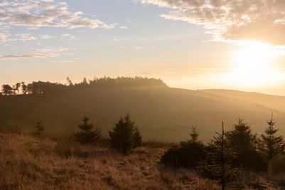Scottish Borders_Landscapes (1).jpg