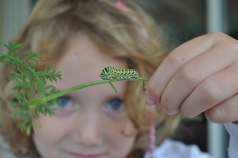 FSC Bishops Wood open day.jpg