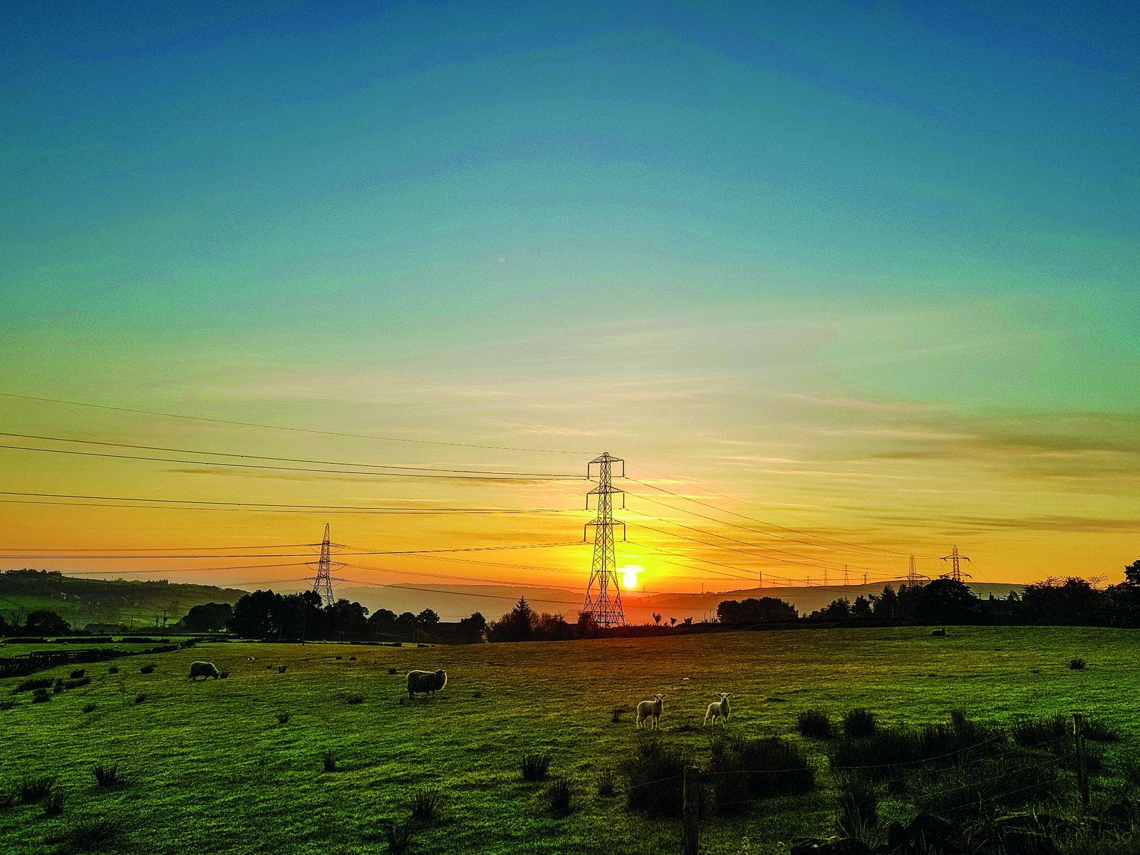View of pylons in fields 