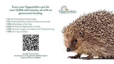 tiggwinkles.jpg
