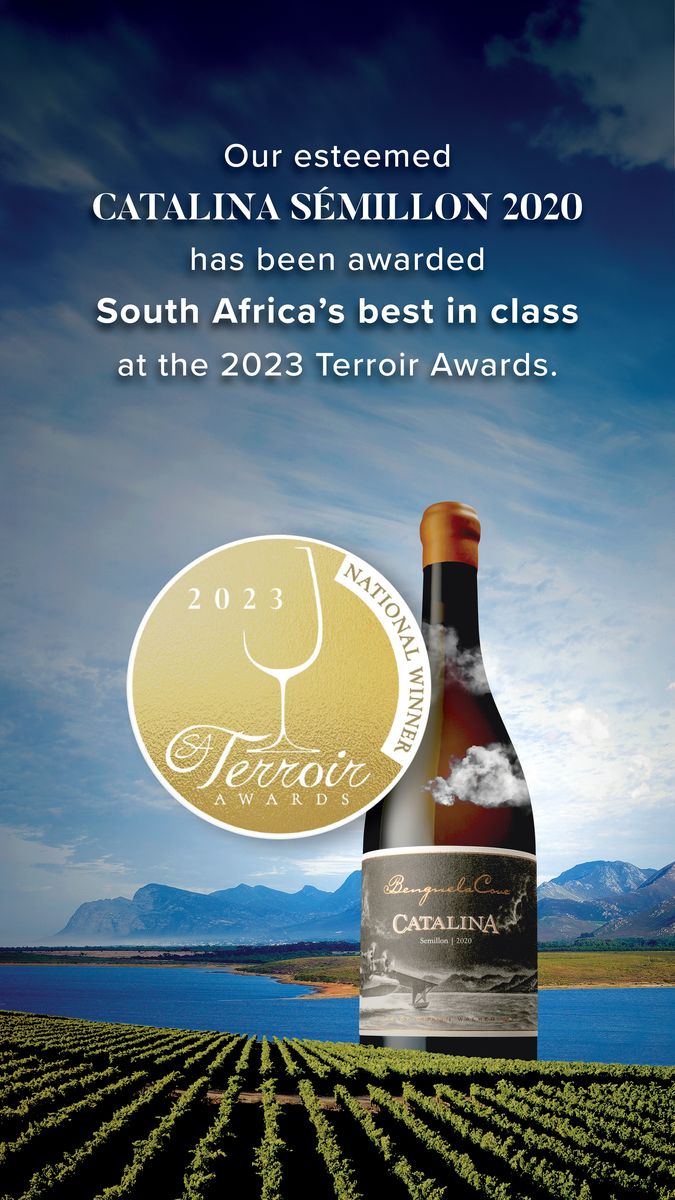 7401_BCSA_Wine Terroir Awards_Story working_2023_LFL.jpg