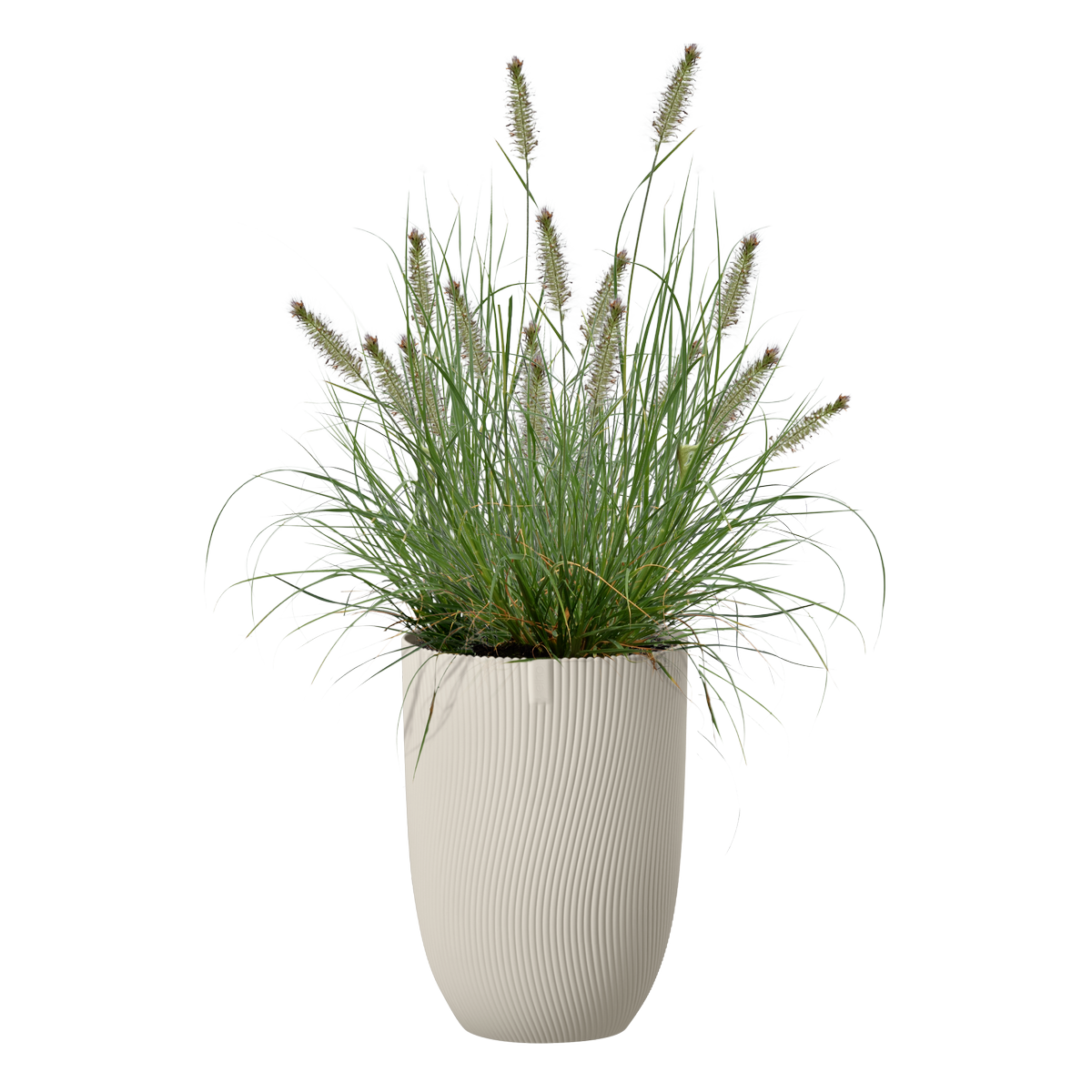 sereh high 30cm - mushroom beige