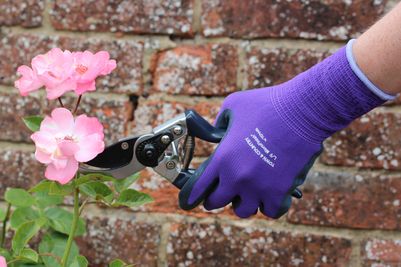 Mastergrip Purple Gloves