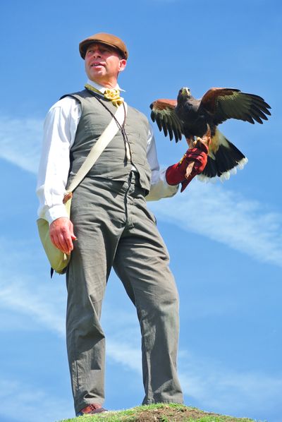 Raphael Historic Falconry - credit John Taylor.jpg