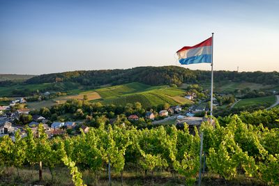 Remerschen-2020-CA42-Terroir-Moselle-Christophe-Arnoldi.jpg
