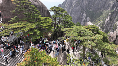 Yellow Mountain (3).png