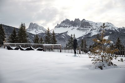 FORESTIS-Ski-in-Ski-out-4.jpg