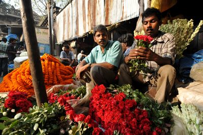 Calcuttaflowermarket_India_DT2.jpg