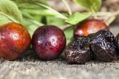 California Prune Board reinforces its commitment to sustainability 