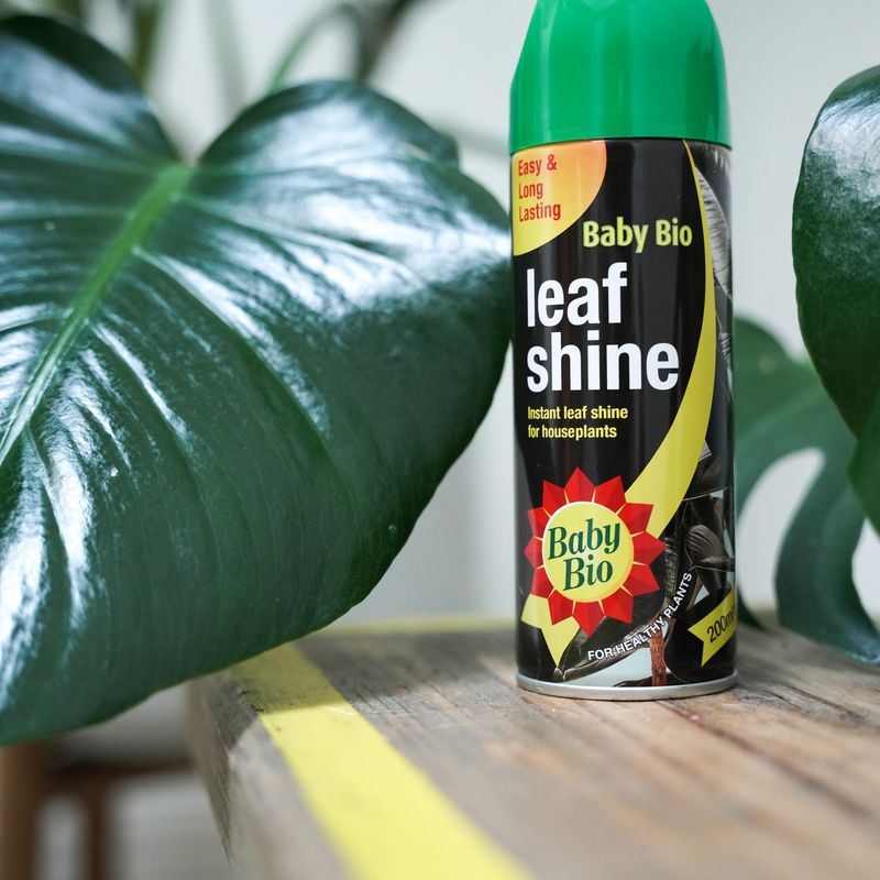 Leaf Shine