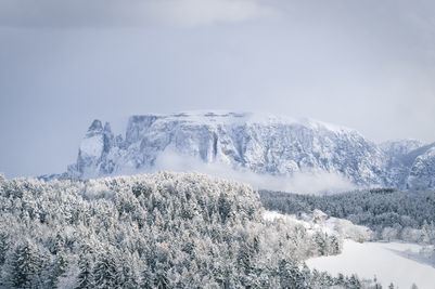 Schlern im Schnee(c)Maria Holzner.jpg