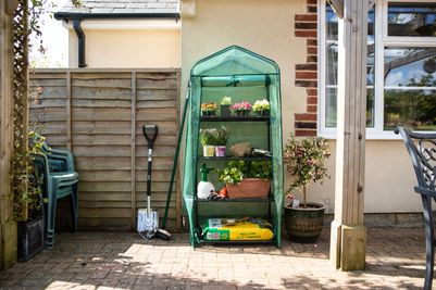 T&C 4 Tier Greenhouse