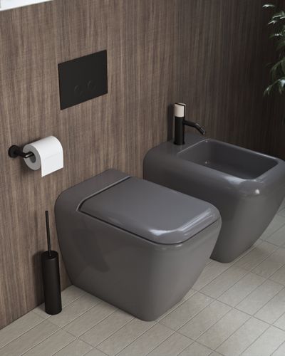 Wall Mounted Toilet Items in Dark Bronze