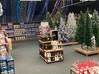 Hillier Garden Centres and Nurseries - Christmas 2024