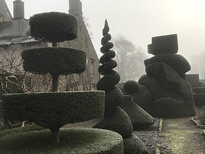 The world's oldest topiary garden, at Levens Hall and Gardens, Cumbria, UK.